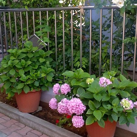 Apartments Strkalj Bibinje Εξωτερικό φωτογραφία
