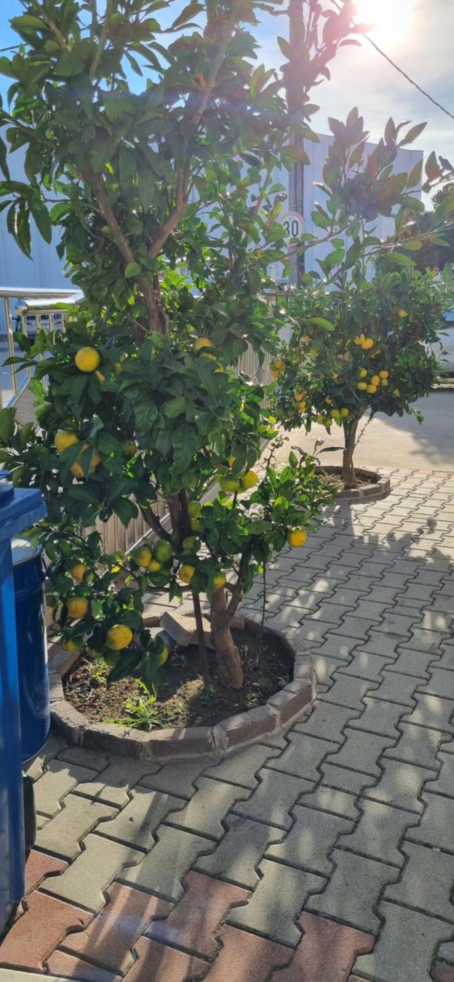 Apartments Strkalj Bibinje Εξωτερικό φωτογραφία