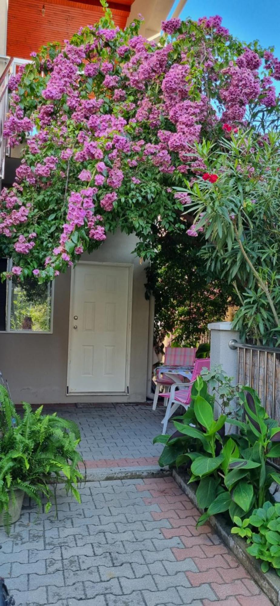Apartments Strkalj Bibinje Εξωτερικό φωτογραφία