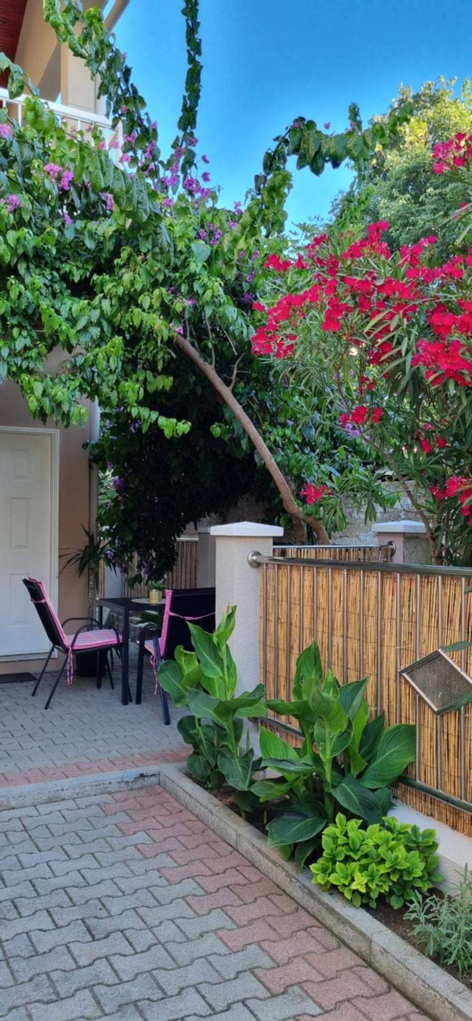 Apartments Strkalj Bibinje Εξωτερικό φωτογραφία